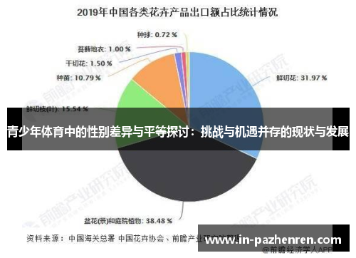 青少年体育中的性别差异与平等探讨:挑战与机遇并存的现状与发展 青少年体育中的性别差异与平等探讨:挑战与机遇并存的现状与发展