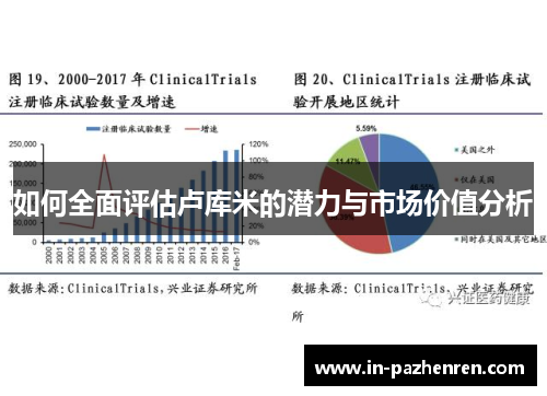如何全面评估卢库米的潜力与市场价值分析 如何全面评估卢库米的潜力与市场价值分析