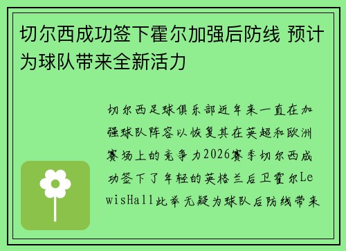切尔西成功签下霍尔加强后防线 预计为球队带来全新活力