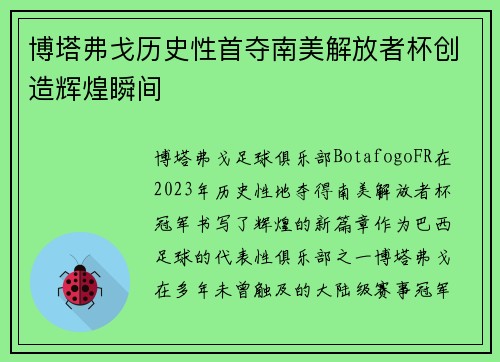 博塔弗戈历史性首夺南美解放者杯创造辉煌瞬间 博塔弗戈历史性首夺南美解放者杯创造辉煌瞬间