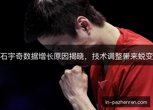 石宇奇数据增长原因揭晓，技术调整带来蜕变